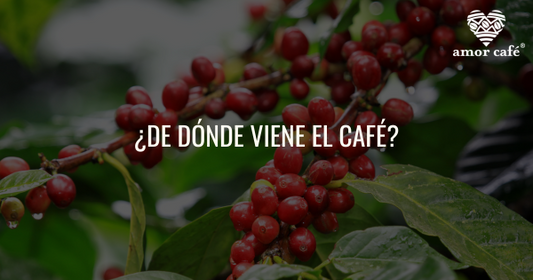 De dónde viene el café