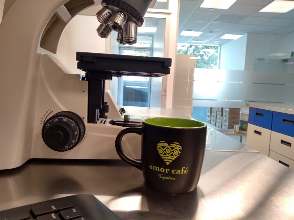 ¿Cómo inicia nuestro gusto por el café?