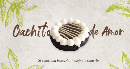 Pastelillo  de Chocolate con Café y Crema de Halva