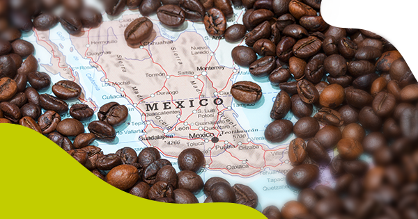 5 estados de México con el mejor café