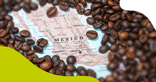 5 estados de México con el mejor café