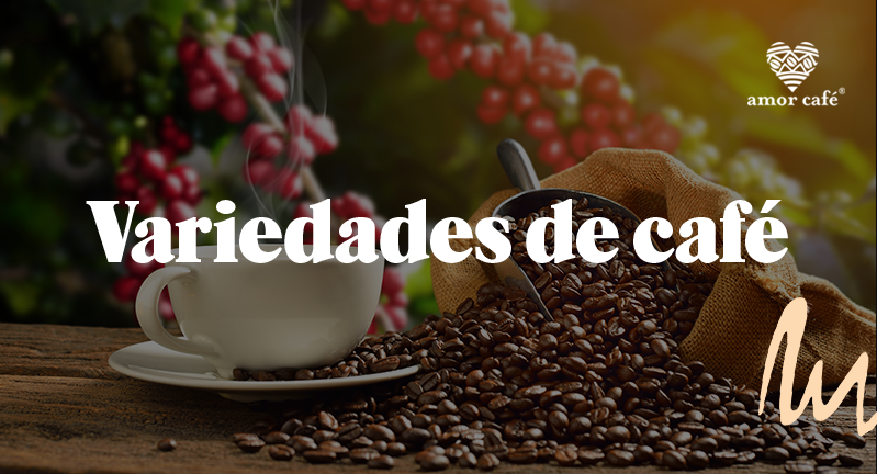 Variedades de café