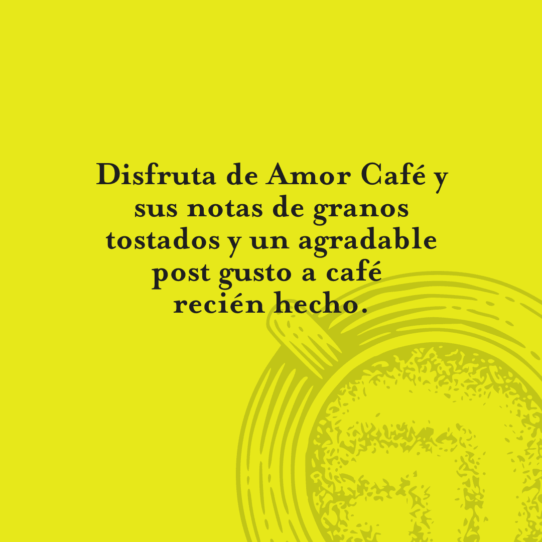 Café Soluble Gourmet Descafeinado Liofilizado