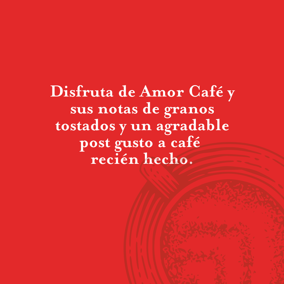 Café Soluble Gourmet Mezcla Original Frasco