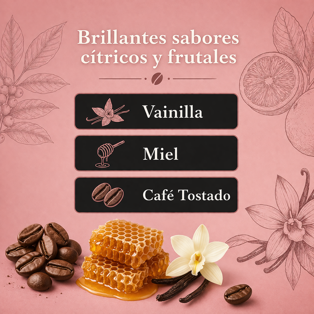 Café NATIVO Original Café Tostado y Molido 450 g 12 pzas