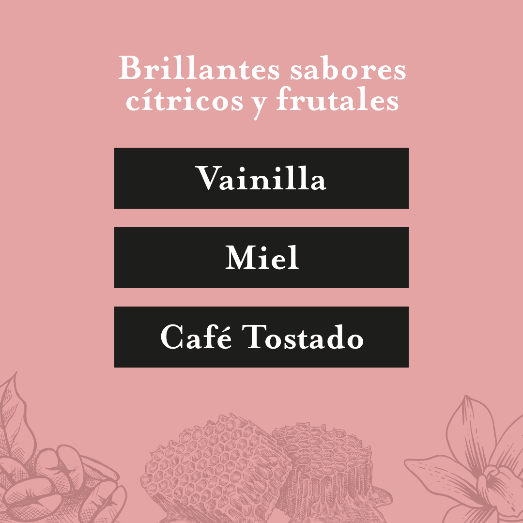 Café Tostado Y Molido Nativo Original