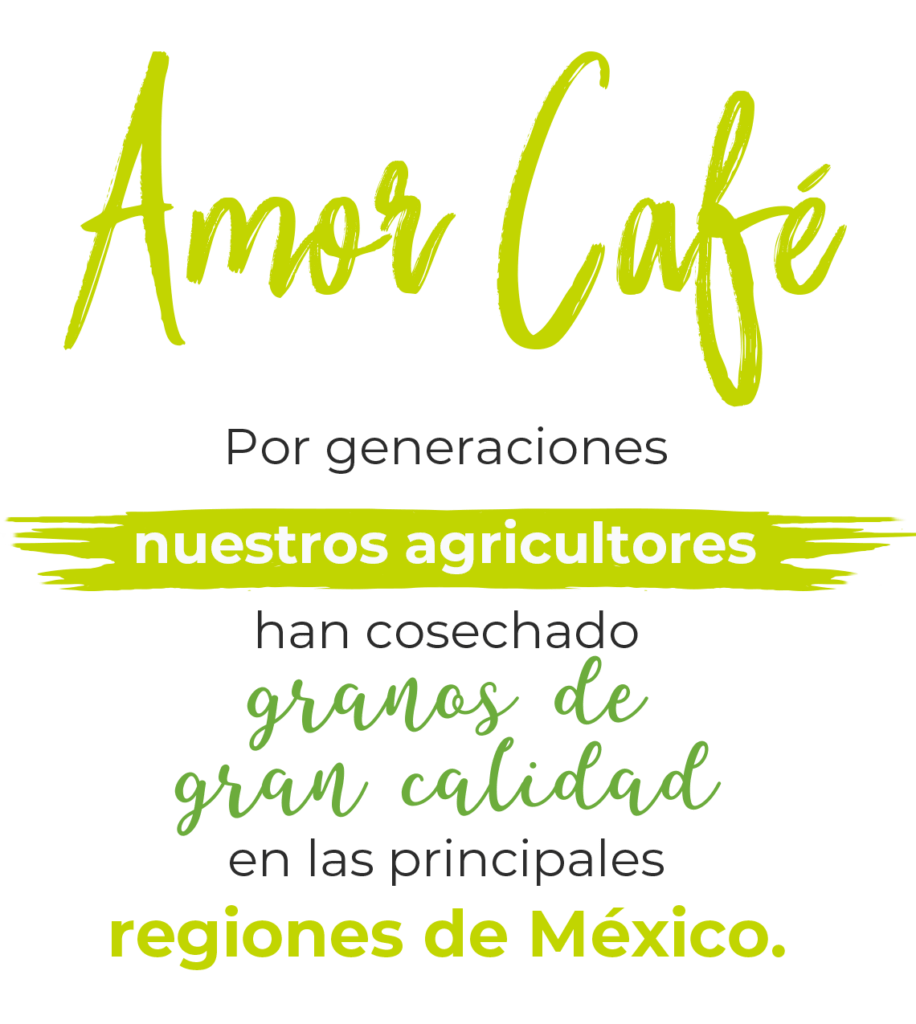 Amor Café de gran calidad de las regiones de México