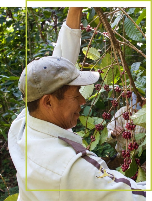 Amor Café por lo natural